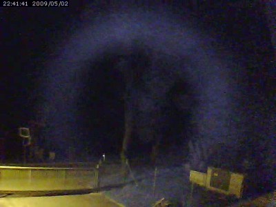 Noční obraz z Vivotek IP7330, celá scéna je mírně nasvícena pouliční lampou vlevo (mimo obraz). Uprostřed obrazu je viditelný obrys kmenu stromu a části koruny. Strom je osvícen IR přísvitem s výrobcem garantovaným dosahem 10m. Světelný kruh má na svědomí zřejmě odraz IR svitu od plechové desky, na které kamera ležela.