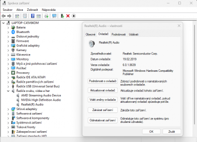Snímek obrazovky 2025-02-13 171419.png