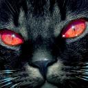 Uživatelský avatar