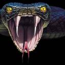 Uživatelský avatar